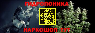 соль ск Краснодар
