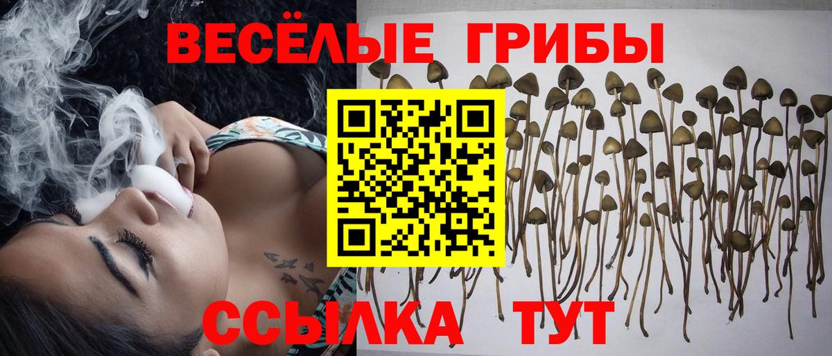 Галлюциногенные грибы MAGIC MUSHROOMS Качканар