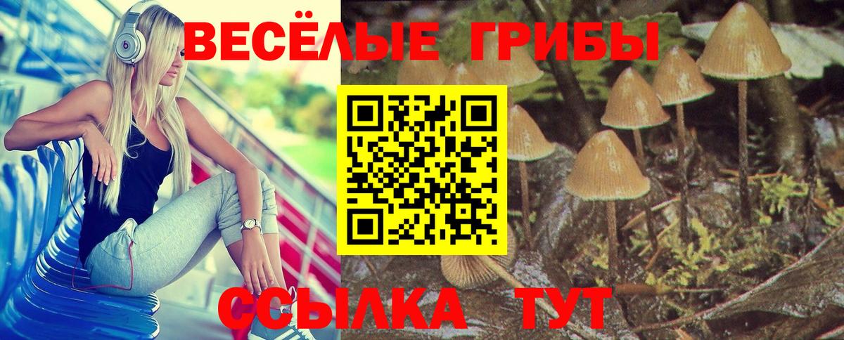 Качканар  что такое наркотик  Вход с VPN  Галлюциногенные грибы мицелий  Псилоцибиновые грибы Magic Shrooms 